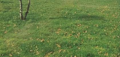 Terrain à Machecoul-Saint-Même en Loire-Atlantique (44) de 819 m² à vendre au prix de 45000€
