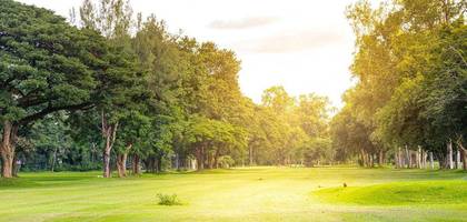 Terrain à Souppes-sur-Loing en Seine-et-Marne (77) de 716 m² à vendre au prix de 37000€