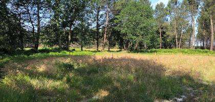 Terrain à Le Teich en Gironde (33) de 623 m² à vendre au prix de 270000€