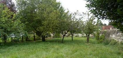 Terrain à Villandry en Indre-et-Loire (37) de 600 m² à vendre au prix de 80000€