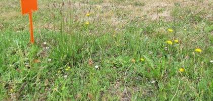Terrain à La Copechagnière en Vendée (85) de 249 m² à vendre au prix de 23655€