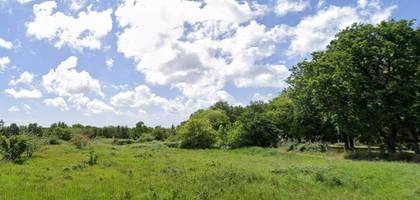 Terrain à Saint-Just-Luzac en Charente-Maritime (17) de 359 m² à vendre au prix de 70005€