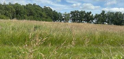 Terrain à Arveyres en Gironde (33) de 600 m² à vendre au prix de 126000€