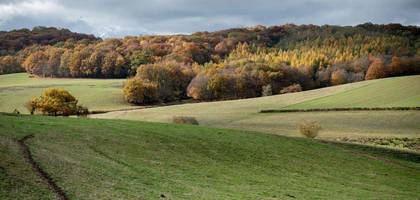 Terrain à Souligné-Flacé en Sarthe (72) de 485 m² à vendre au prix de 29100€