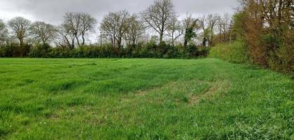 Terrain à Surgères en Charente-Maritime (17) de 233 m² à vendre au prix de 24991€