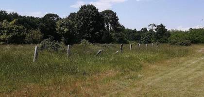 Terrain à Margaux-Cantenac en Gironde (33) de 950 m² à vendre au prix de 110000€