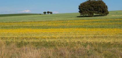 Terrain à La Ferrière en Vendée (85) de 364 m² à vendre au prix de 34580€