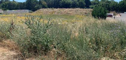 Terrain à Pourrières en Var (83) de 500 m² à vendre au prix de 224900€