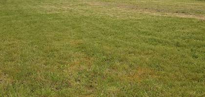 Terrain à La Barre-de-Monts en Vendée (85) de 446 m² à vendre au prix de 83000€