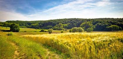 Terrain à Villemaréchal en Seine-et-Marne (77) de 1249 m² à vendre au prix de 79200€