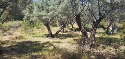 Terrain à La Seyne-sur-Mer en Var (83) de 900 m² à vendre au prix de 260000€