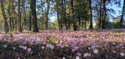Terrain à Val de Virvée en Gironde (33) de 897 m² à vendre au prix de 79000€