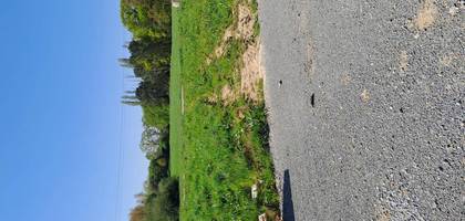 Terrain à Saint-Domineuc en Ille-et-Vilaine (35) de 342 m² à vendre au prix de 72000€