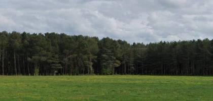 Terrain à Tigy en Loiret (45) de 8500 m² à vendre au prix de 173000€