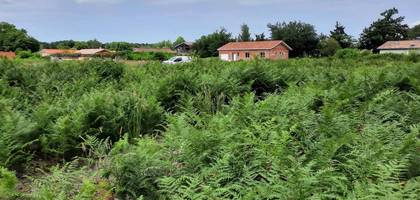 Terrain à Parentis-en-Born en Landes (40) de 495 m² à vendre au prix de 132050€