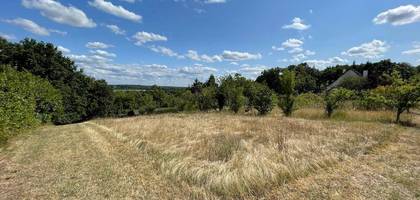 Terrain à Mont-près-Chambord en Loir-et-Cher (41) de 1200 m² à vendre au prix de 71000€