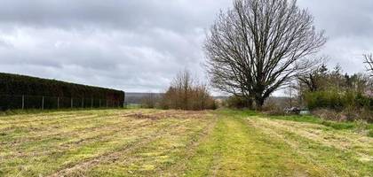 Terrain à Veuzain-sur-Loire en Loir-et-Cher (41) de 3700 m² à vendre au prix de 65000€