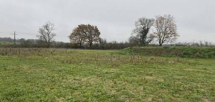 Terrain à Champtocé-sur-Loire en Maine-et-Loire (49) de 384 m² à vendre au prix de 40000€