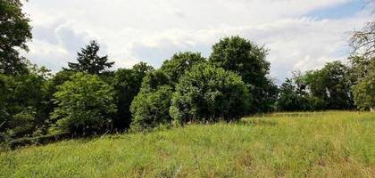 Terrain à Montlivault en Loir-et-Cher (41) de 2490 m² à vendre au prix de 89000€