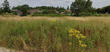 Terrain à Cormeray en Loir-et-Cher (41) de 618 m² à vendre au prix de 43000€