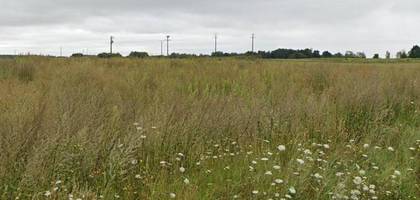 Terrain à Mézières-lez-Cléry en Loiret (45) de 600 m² à vendre au prix de 68000€