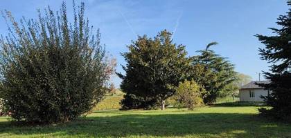Terrain à Baigneaux en Gironde (33) de 1177 m² à vendre au prix de 55000€