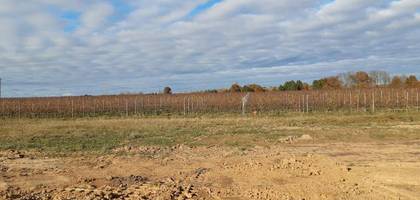 Terrain à Saint-Ciers-d'Abzac en Gironde (33) de 800 m² à vendre au prix de 56000€