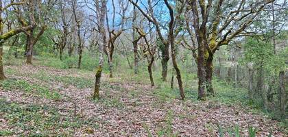 Terrain à Labastide-Marnhac en Lot (46) de 2400 m² à vendre au prix de 40000€