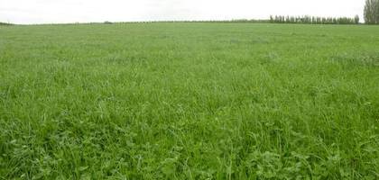 Terrain à Croix-Chapeau en Charente-Maritime (17) de 724 m² à vendre au prix de 249100€