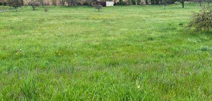 Terrain à Villadin en Aube (10) de 0 m² à vendre au prix de 25000€