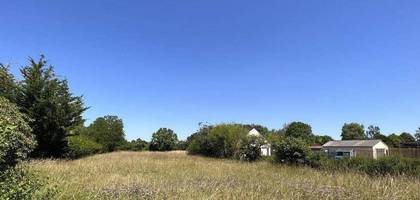 Terrain à Payns en Aube (10) de 2507 m² à vendre au prix de 124200€