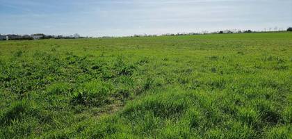 Terrain à Surgères en Charente-Maritime (17) de 352 m² à vendre au prix de 40250€