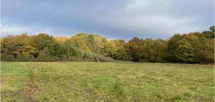 Terrain à Saint-Julien-sur-Cher en Loir-et-Cher (41) de 7574 m² à vendre au prix de 28990€