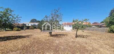 Terrain à Gujan-Mestras en Gironde (33) de 0 m² à vendre au prix de 312500€ - 2
