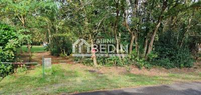 Terrain à Parentis-en-Born en Landes (40) de 0 m² à vendre au prix de 181500€ - 3