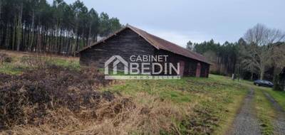 Terrain à Saint-Paul-en-Born en Landes (40) de 0 m² à vendre au prix de 192000€ - 2