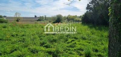 Terrain à Amou en Landes (40) de 0 m² à vendre au prix de 32500€ - 1