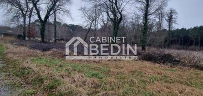 Terrain à Saint-Paul-en-Born en Landes (40) de 0 m² à vendre au prix de 160500€ - 1