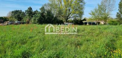 Terrain à Amou en Landes (40) de 0 m² à vendre au prix de 32500€ - 4