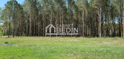 Terrain à Saint-Paul-en-Born en Landes (40) de 0 m² à vendre au prix de 192000€ - 4