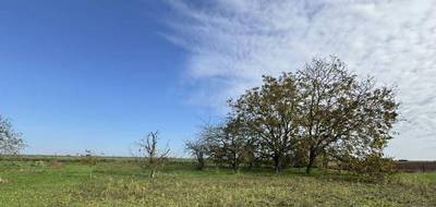 Terrain et maison à Biard en Vienne (86) de 107 m² à vendre au prix de 245016€ - 4
