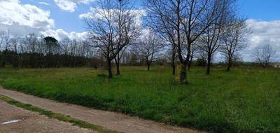 Terrain à Lavernose-Lacasse en Haute-Garonne (31) de 450 m² à vendre au prix de 87000€ - 2