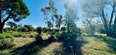 Terrain à Puget-sur-Argens en Var (83) de 628 m² à vendre au prix de 270000€ - 2