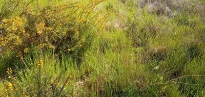 Terrain à Arcachon en Gironde (33) de 800 m² à vendre au prix de 1145950€ - 3