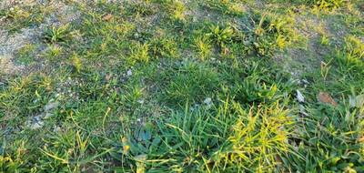 Terrain et maison à La Plaine-sur-Mer en Loire-Atlantique (44) de 100 m² à vendre au prix de 295010€ - 4