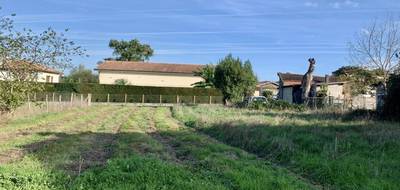 Terrain et maison à Le Pian-Médoc en Gironde (33) de 100 m² à vendre au prix de 345000€ - 3