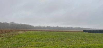 Terrain et maison à Pouligny-Saint-Pierre en Indre (36) de 120 m² à vendre au prix de 278000€ - 3