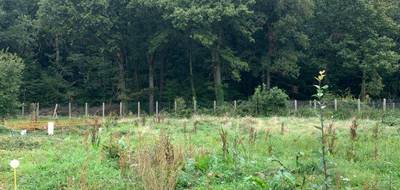 Terrain et maison à Grisy-Suisnes en Seine-et-Marne (77) de 89 m² à vendre au prix de 398015€ - 3