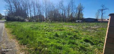 Terrain et maison à Lagrave en Tarn (81) de 110 m² à vendre au prix de 251000€ - 4