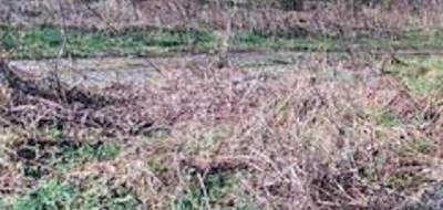 Terrain et maison à Grez-sur-Loing en Seine-et-Marne (77) de 109 m² à vendre au prix de 271000€ - 3